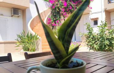 Yannis Apartments - Photo 4
