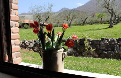 Agriturismo IL CASTAGNETO - Foto 45