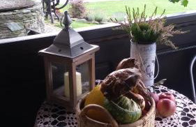 Agroturystyka Łysa Góra - Foto 69