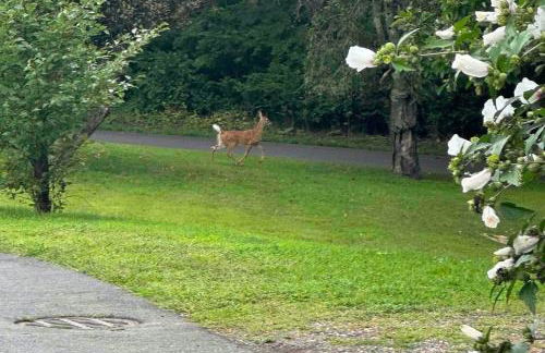 Luxury Estate Elegant Private The White Lion Manor - Foto 62