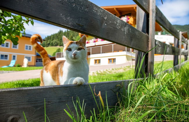 Landhaus Maurer - Foto 78