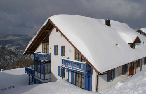 Ferienland Sonnenwald Fewo 46 - Foto 31