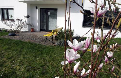 Fuchs und Hase - Foto 28