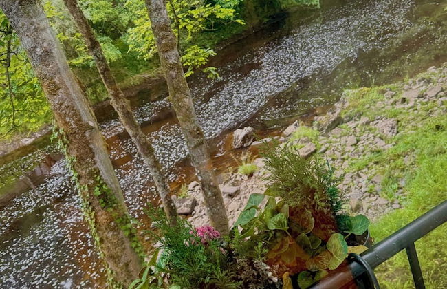 River Dance Cottage - Foto 30