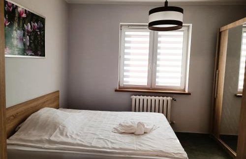 Pokoje gościnne Jola - Foto 12