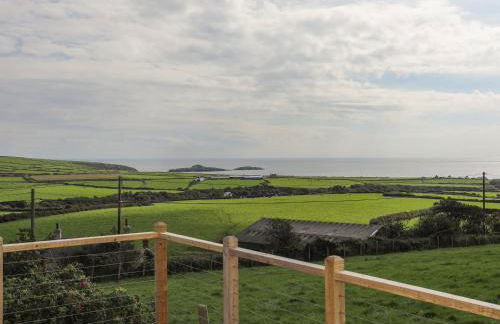 Cae'r Wylan - Foto 22