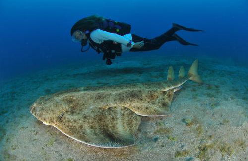 La Casa de Sardina - Foto 29