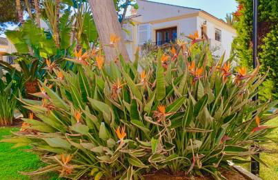 Casa Veranera Vera Costa - Foto 16