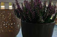 Osada California - Foto 59