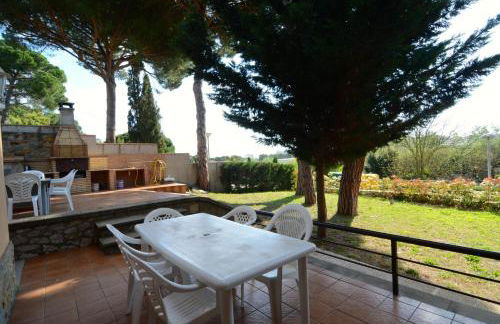 Museu Baixos - Foto 10