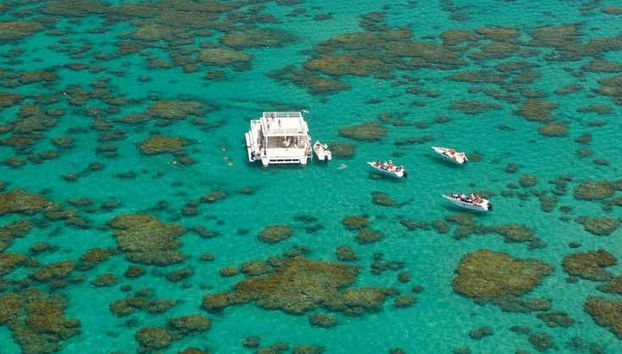 Maracajau Day Trip + Speedboat Ride - Foto 3