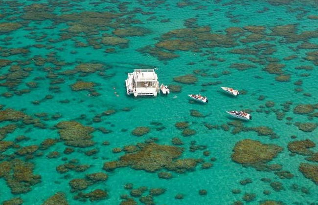 Maracajau Day Trip + Speedboat Ride - Foto 3