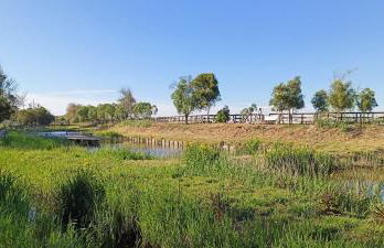 Big Fish 1 - Charming Beach Apartment - Foto 39