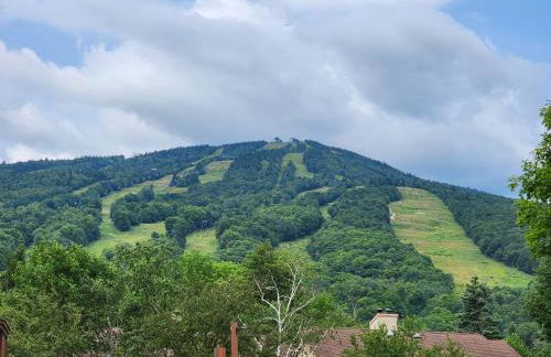 Mt Snow Condo with Pool Mountain Views Half Mile to Mtn - Photo 21