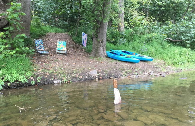 Chesnutt Cabin on the Cacapon River - Foto 33