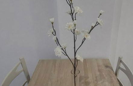 El Cantillo del Jerte - Foto 22