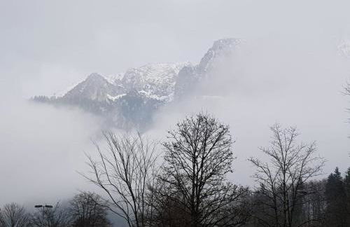 Alpina Inzell Wohnung 454 - Foto 39