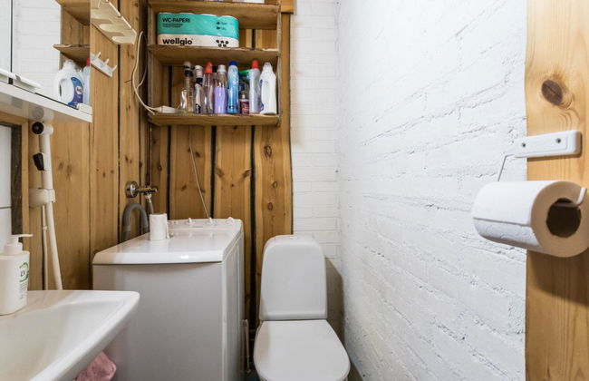 Tunturitähti, lainio - Foto 10