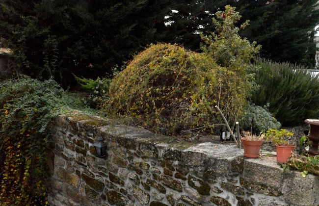 Quinta do Olival - Photo 51