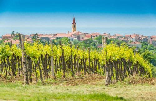 DAMJANIĆ HOLIDAY HOUSE - Foto 36