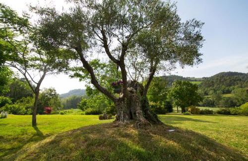 CASALE SANTA CATERINA Jacuzzi and Pool - Photo 10