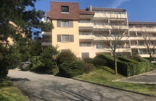 Appartement en Rez de jardin climatisée 2 pièces-cuisine avec terrasse et jardin - Foto 9