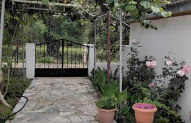 Lambrinis house - Foto 4