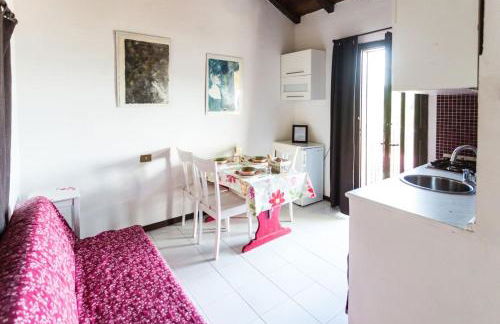 Fattoria Cristina - Fenice - Foto 21