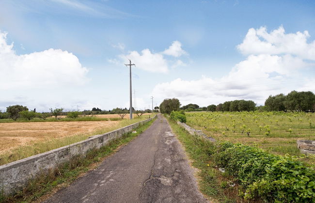 Casina Farnarari - Photo 29