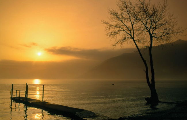 La Torretta 2 sul Lago Maggiore - Photo 28