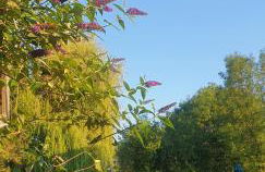 Gites Ferme de la Baie - Foto 46