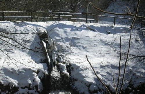Chalet in Germany With Fireplace & Terrace - Foto 34