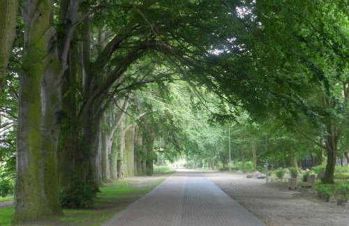 Apartament Babitonga I - Photo 40