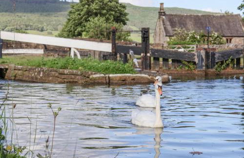 Waters Edge Lock View - Foto 31