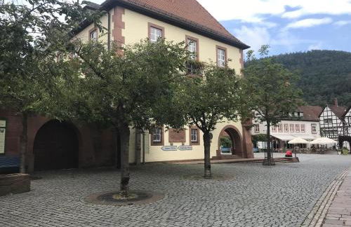 Ferienwohnungen Annweiler am Trifels - Foto 34