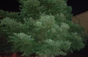 Studio ARIS, a breath away from Athens! - Foto 6