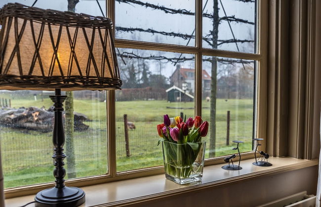 Cozy Holiday Home in Vrouwenpolder Close to the Beach - Foto 55