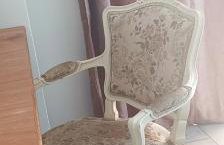 A Fox in the Snow - Foto 5