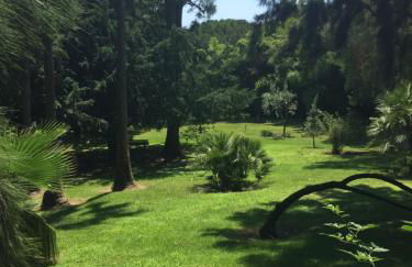 Cannes Eden résidence de luxe piscine tennis - Foto 17
