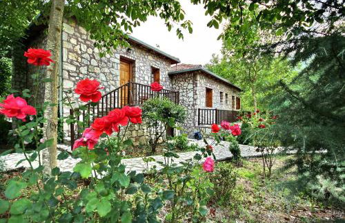 Andrea Sofi Guesthouse - Photo 13