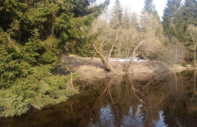 Lavish Holiday Home in Abertamy near Ski Area - Photo 34