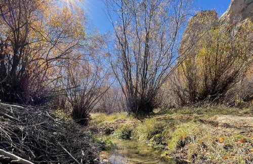 Tiny Creek Retreat - Foto 71