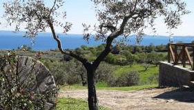 Casa laggiù - Foto 2, Garden