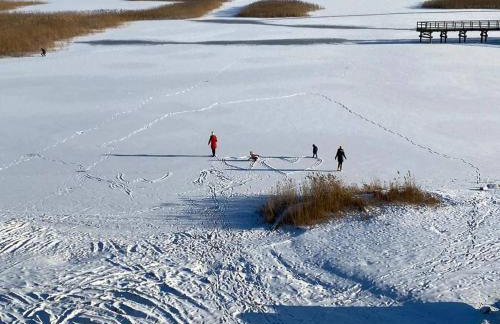 Willa Siemianówka - Sauna, Jacuzzi - Foto 43