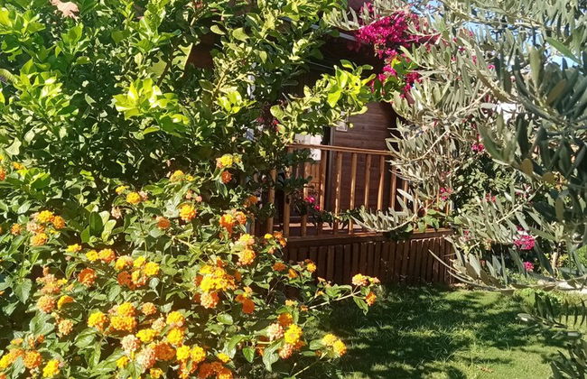 Riviera Bungalow Evleri Demre - Photo 51