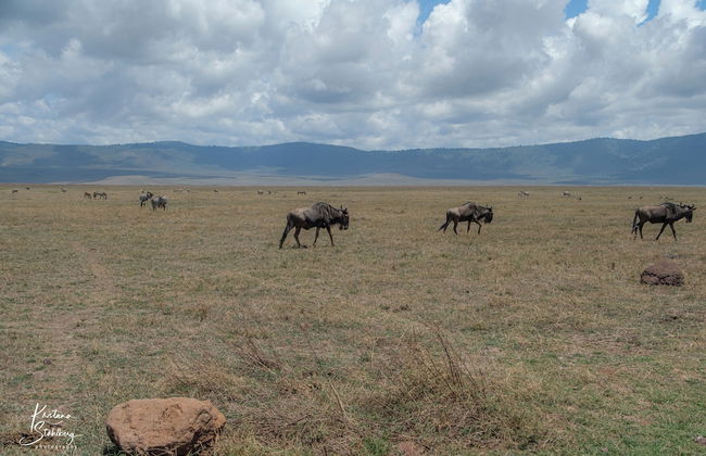 Lilac Hideaway - Foto 16