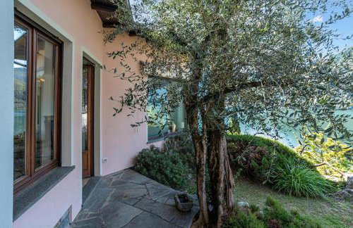 Il Tentione - Photo 77