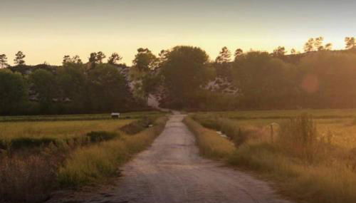 Beautiful 3 bedroom Villa in Torre Comporta I - Foto 5