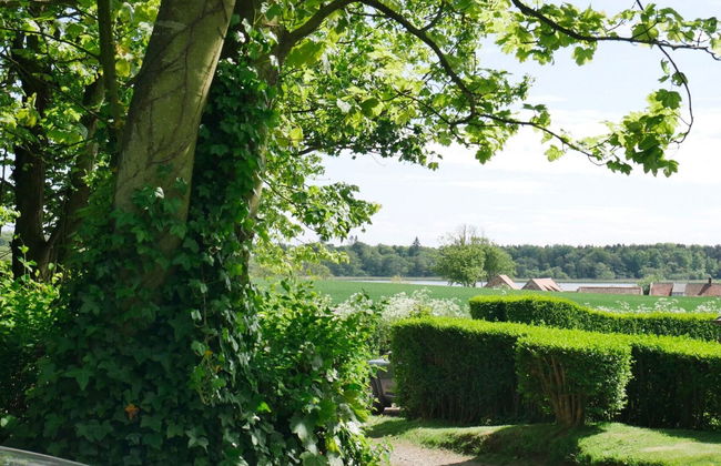 Kilconquhar Estate and Country Club - Foto 12