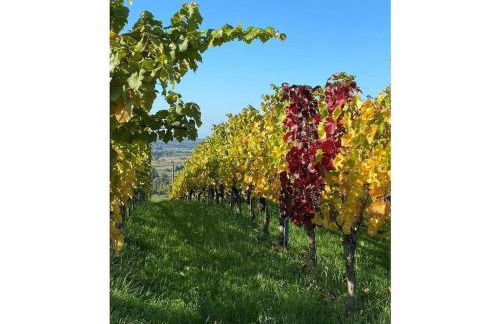 Am Wiiwegli Comfortable holiday residence - Foto 21